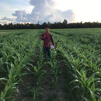 alessandroagrooficial