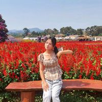nat_50355