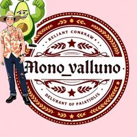 elmono._.valluno