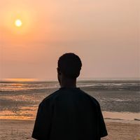 savant_2.0