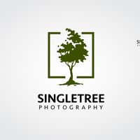 original sound - single_tree_photography