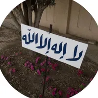 original sound - mv7lr1