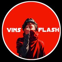 vins_flash9