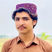 nawabzahidmazari