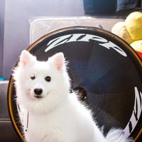 original sound - i8i8i8i8i8i8i