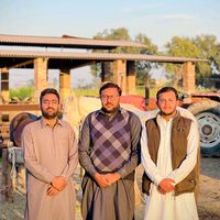 chkhawarsein