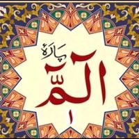 nighatkarim9988