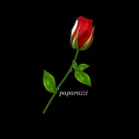 original sound - paparazzi1208