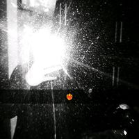 brooklyntguy52