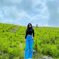 ahsaw218