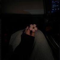 daisyy_heree