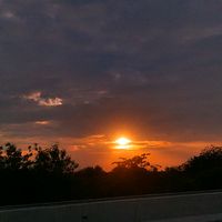 adid_008