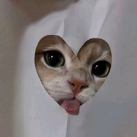 pang_supi