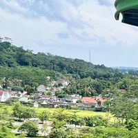browniess1111
