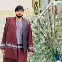 abdulwahidpopal900