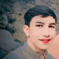 ork.shahain