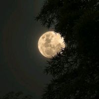 meershab720