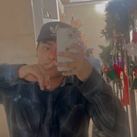 politolindo_