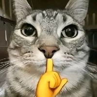 sigmapapeadormangos67
