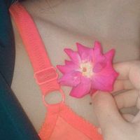 shashgolpo1