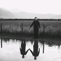 hovo_041