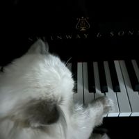 オリジナル楽曲 - erena(13)