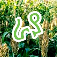 original sound - barch_ye_rayawa_16