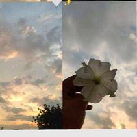 zainab70016