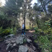 original sound - dime.nani