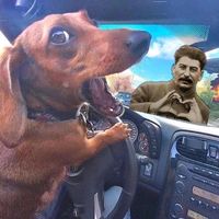 оригинальный звук