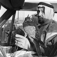 saudi.83
