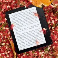 nhạc nền - Hải Kindle