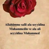 maraljan327