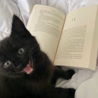 sfuaow