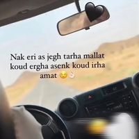 lolyta__wallat