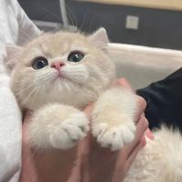 自由に使ってください