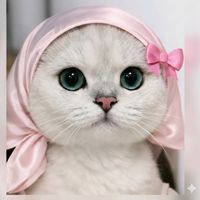 samah.ben..0