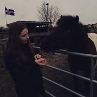 ponnyyysss