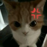 0.9.2.5.2