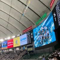 aoi_0240