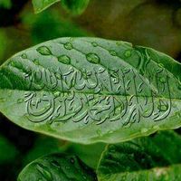 imrankhan.786.786