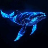 original sound - 🐳  OCEAN SOUND 🐳