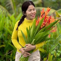 សំឡេងដើម - ស្រែ Tv