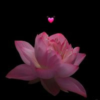 evy_s06