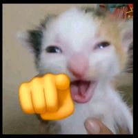 el_pulento2