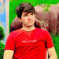 wajeedrahman7