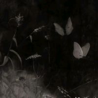 celestea232
