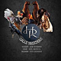r.h.i.animale.club.galle