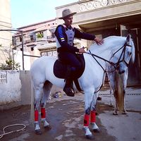 horseslovehorses0