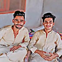 gulzaibhp313